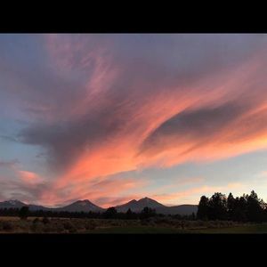 Meet your Posher, Al